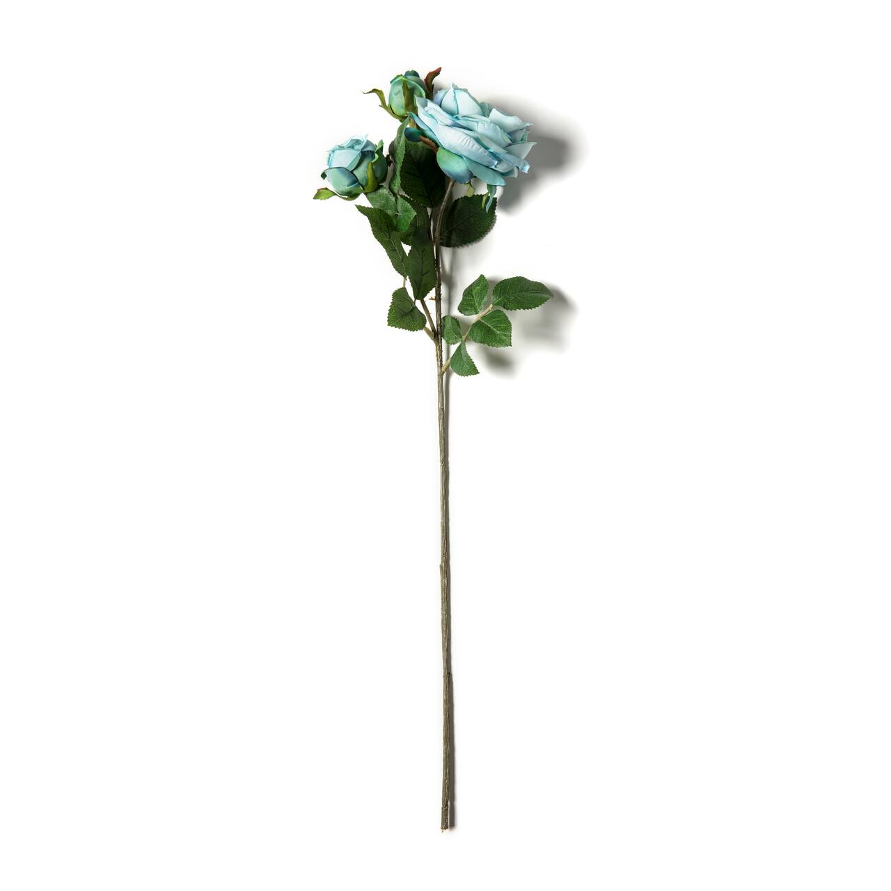 Teal English Rose Stem by Ashland®